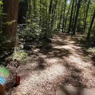 Hayes Park - Freeland, MI