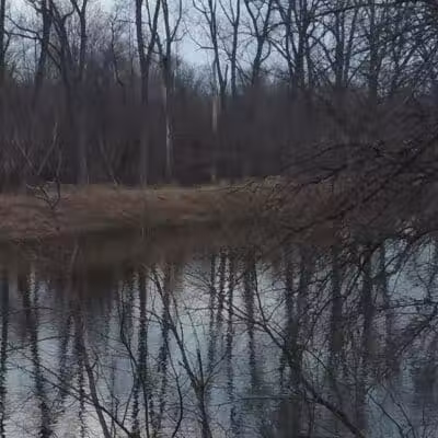Memorial Park - Freeland, MI