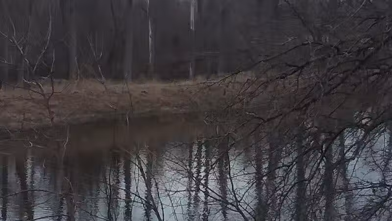 Memorial Park - Freeland, MI