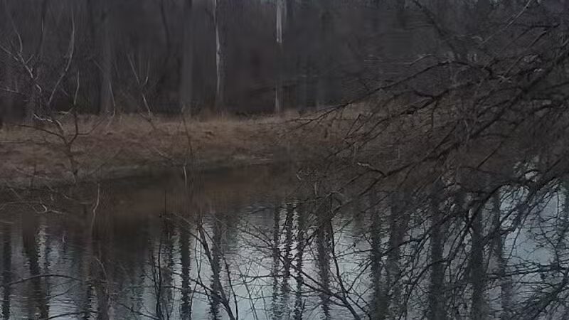 Memorial Park - Freeland, MI
