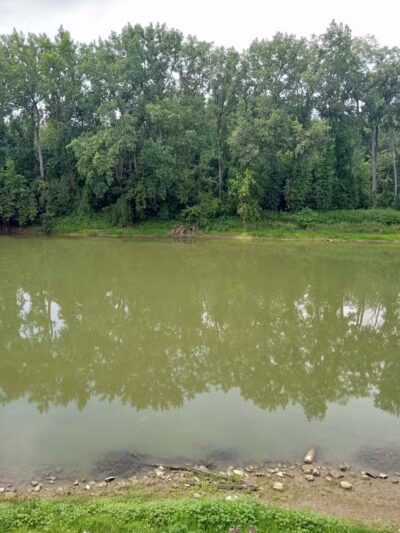 Memorial Park - Freeland, MI