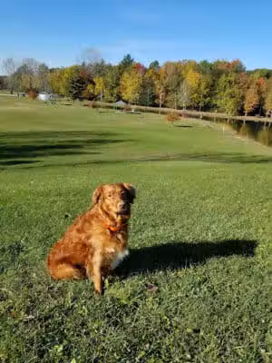 Hayes Park - Freeland, MI