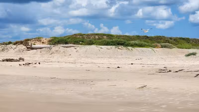 Freeport Bryan Beach - Freeport, TX