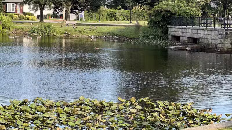 Milburn Creek Park - Freeport, NY