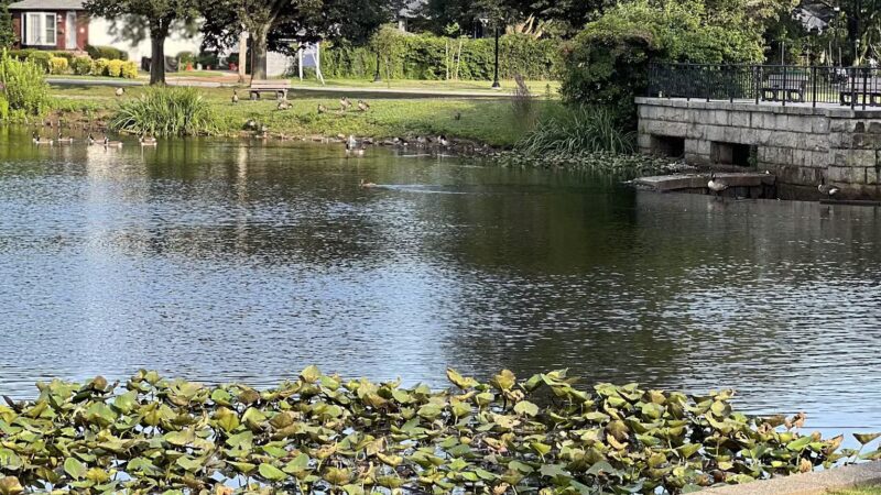 Milburn Creek Park - Freeport, NY