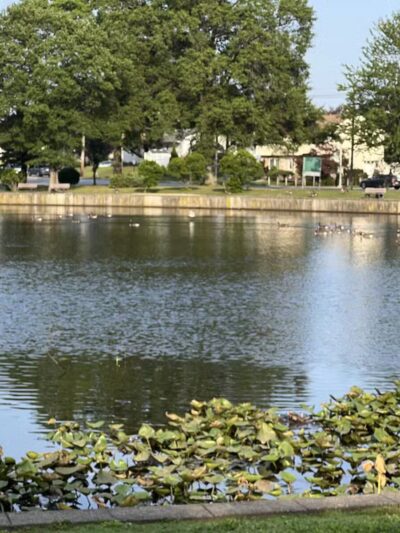 Milburn Creek Park - Freeport, NY