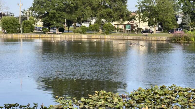 Milburn Creek Park - Freeport, NY