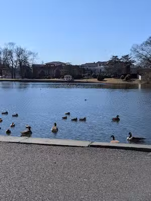 Milburn Creek Park - Freeport, NY