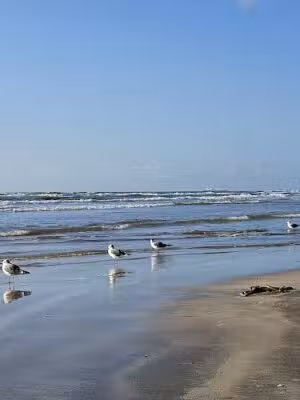 Beach Access - Freeport, TX
