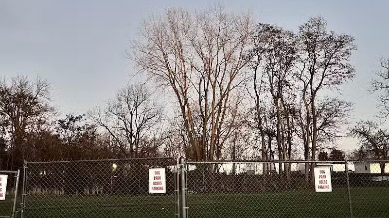 Broad Street Dog Park - Fremont,