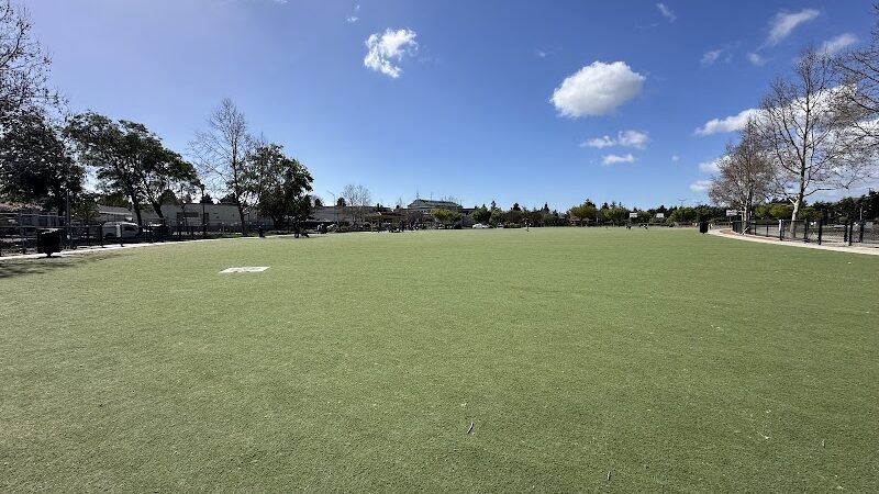 Central Park Dog Park - Fremont, CA