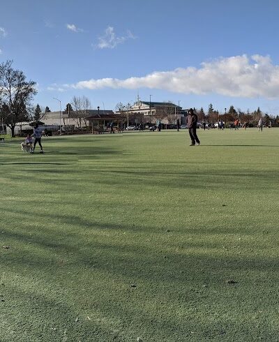 Central Park Dog Park - Fremont, CA