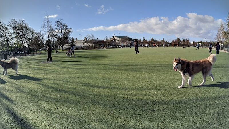 Central Park Dog Park - Fremont, CA