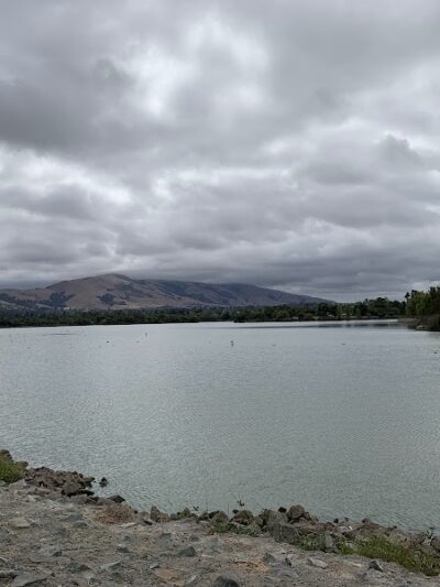 Central Park Dog Park - Fremont, CA