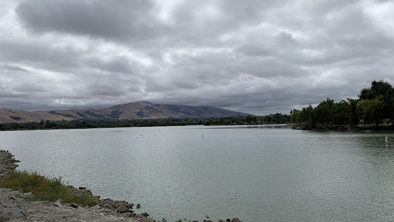 Central Park Dog Park - Fremont, CA