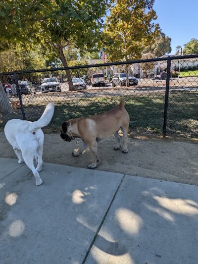 Central Park Dog Park - Fremont, CA