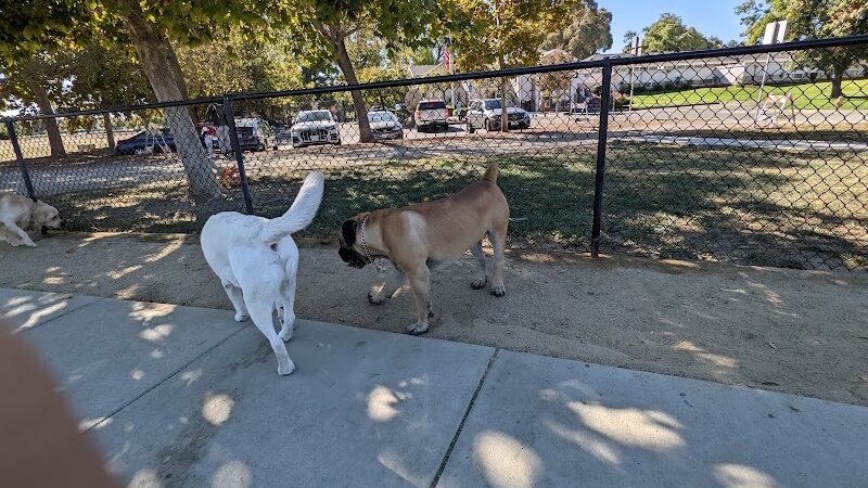 Central Park Dog Park - Fremont, CA