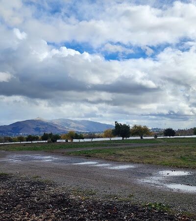 Central Park Dog Park - Fremont, CA