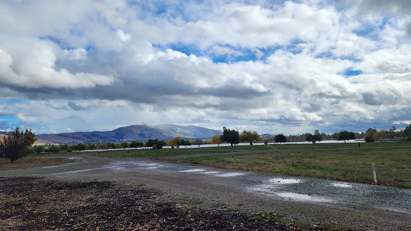 Central Park Dog Park - Fremont, CA