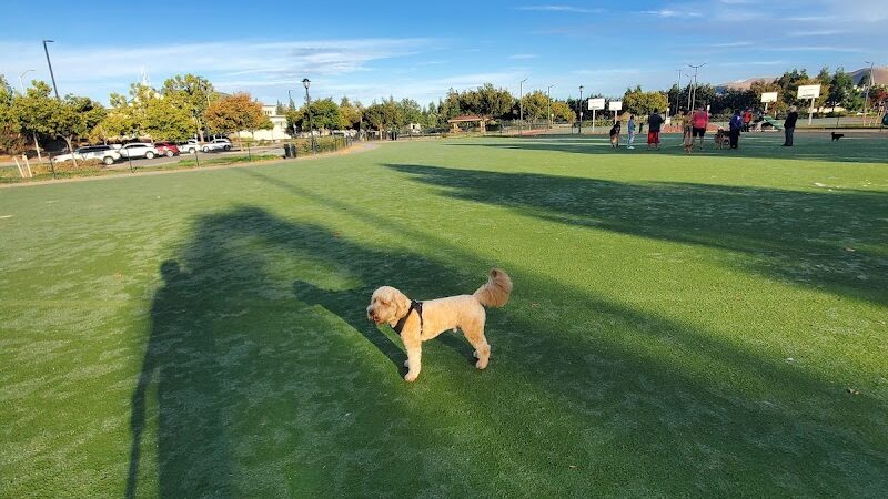 Central Park Dog Park - Fremont, CA