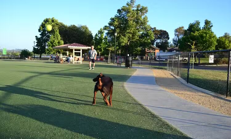Central Park Dog Park - Fremont, CA