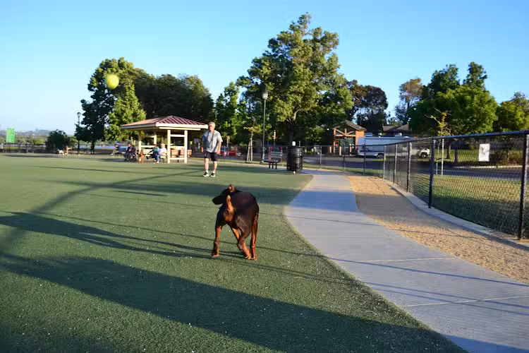 Central Park Dog Park - Fremont, CA