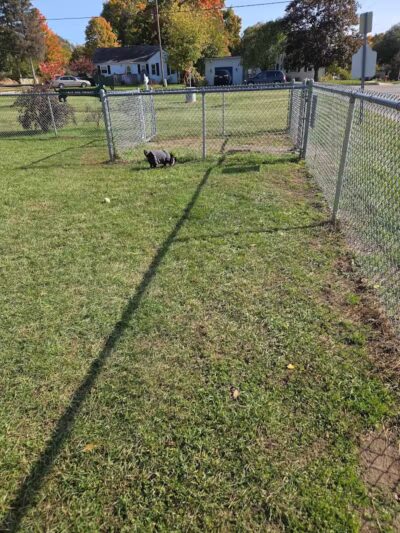 Fremont Dog Park - Fremont, MI