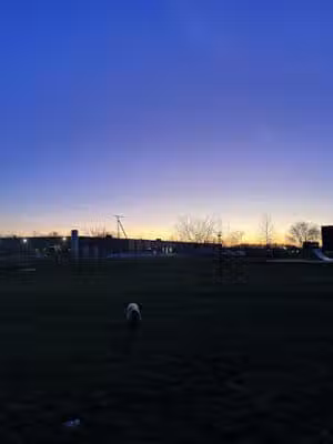 Broad Street Dog Park - Fremont,