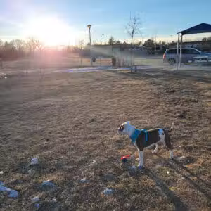 Dog Park - Fremont, NE