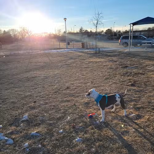 Dog Park - Fremont, NE