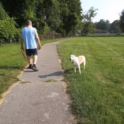 Waterloo Park - Frenchtown Township,