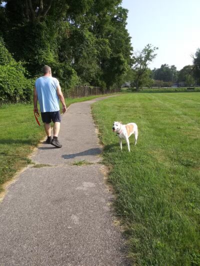 Waterloo Park - Frenchtown Township,