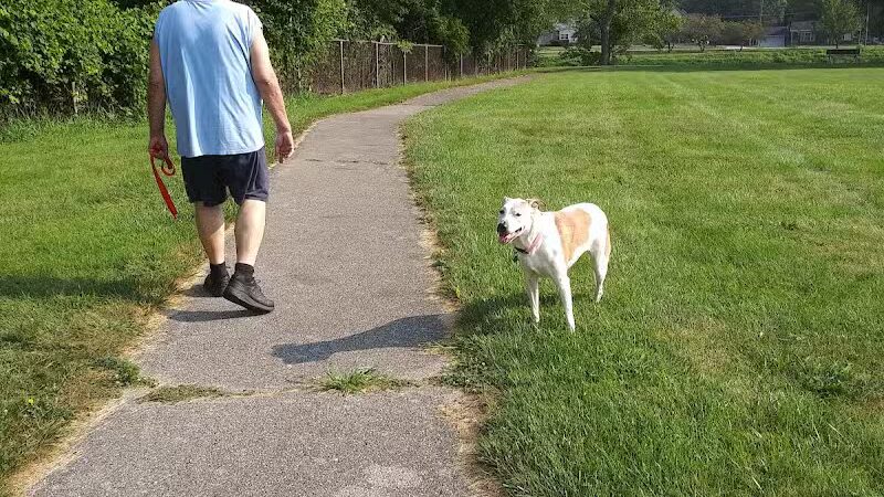 Waterloo Park - Frenchtown Township,