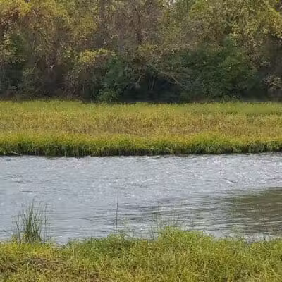 Waterloo Park - Frenchtown Township,