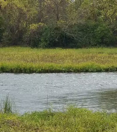 Waterloo Park - Frenchtown Township,