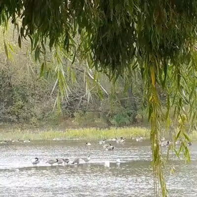 Waterloo Park - Frenchtown Township,