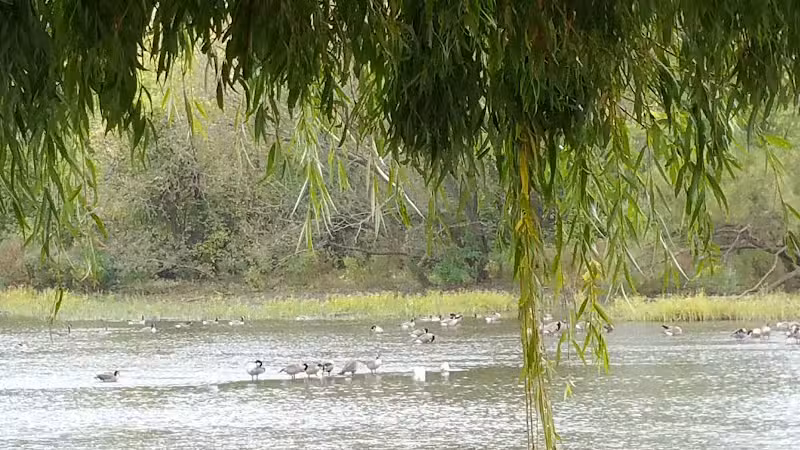 Waterloo Park - Frenchtown Township,