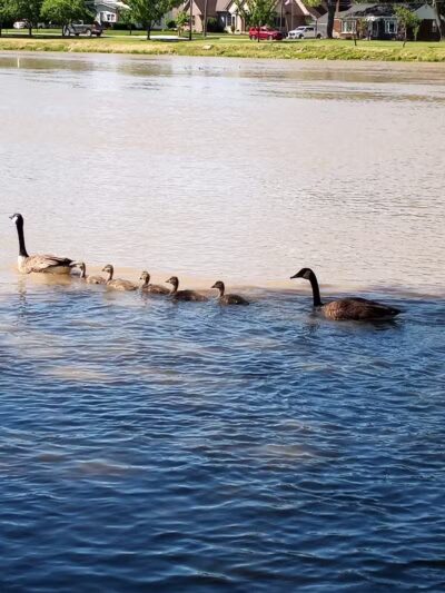 Waterloo Park - Frenchtown Township,