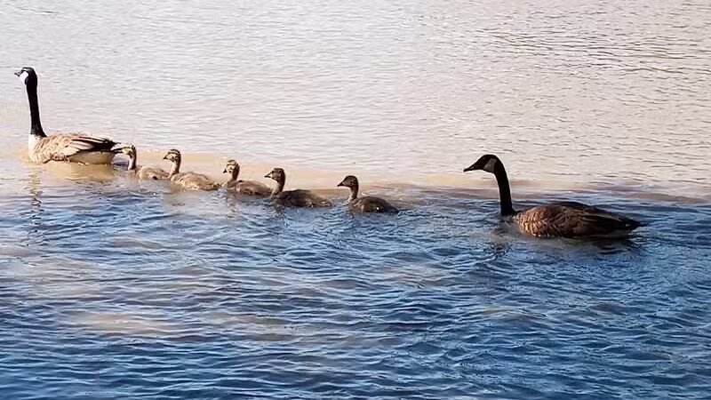 Waterloo Park - Frenchtown Township,