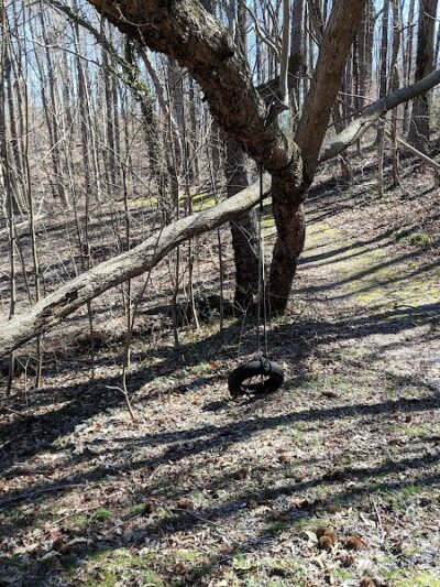 Friendship Pond Park - Friendship, MD