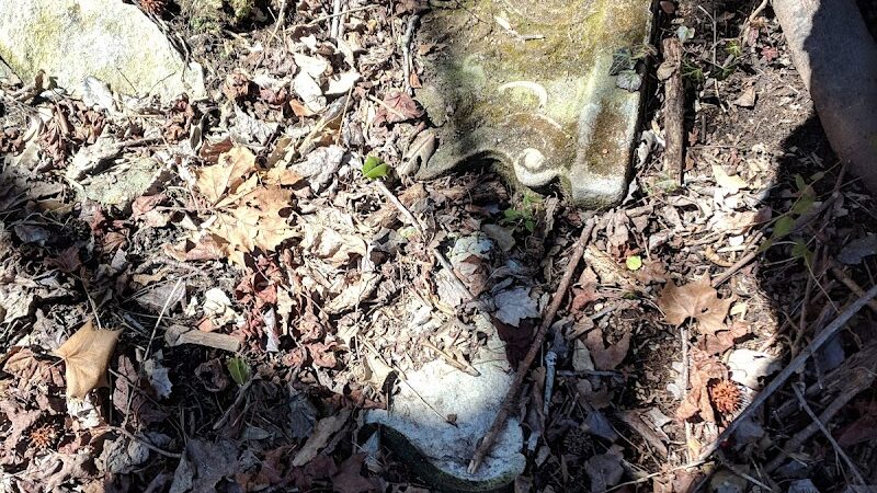 Friendship Pond Park - Friendship, MD