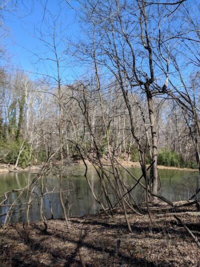 Friendship Pond Park - Friendship, MD