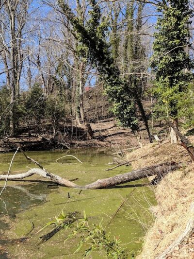 Friendship Pond Park - Friendship, MD