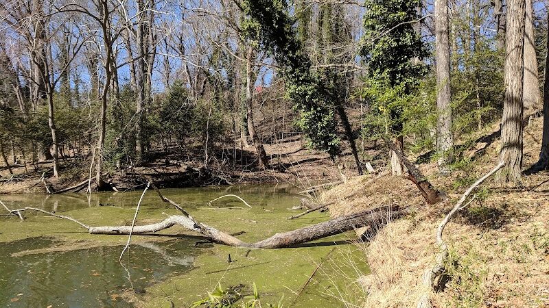 Friendship Pond Park - Friendship, MD