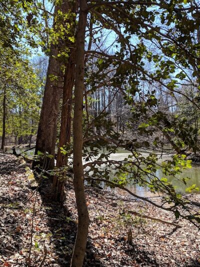 Friendship Pond Park - Friendship, MD