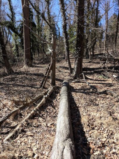 Friendship Pond Park - Friendship, MD
