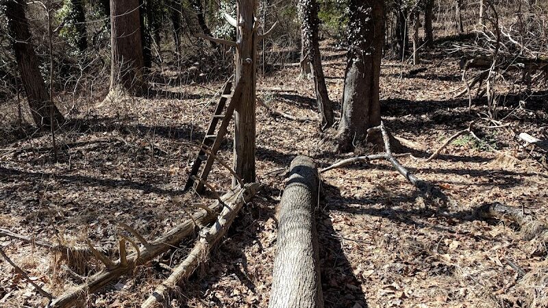 Friendship Pond Park - Friendship, MD