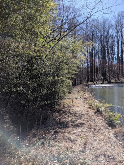 Friendship Pond Park - Friendship, MD