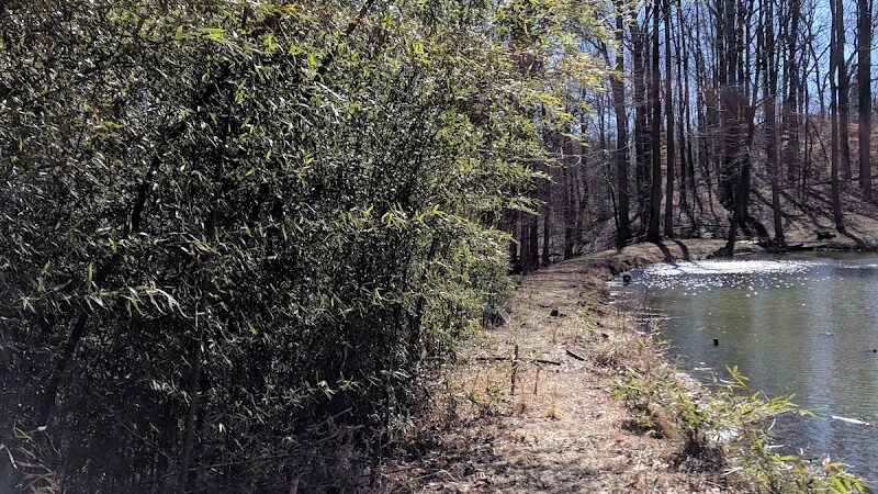 Friendship Pond Park - Friendship, MD