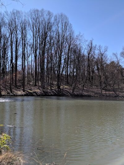 Friendship Pond Park - Friendship, MD